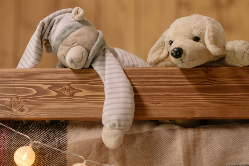 EverLighten announces custom plush toys replica of pets