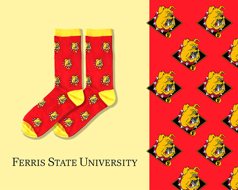 University - Ferris State University