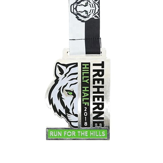 Custom Award Medals by EverLighten