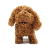 Custom Pet Plush - EverLighten