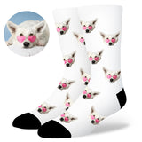 Custom Dog Socks by EverLighten
