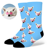 Custom Dog Socks by EverLighten