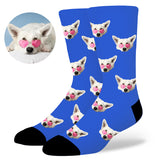 Custom Dog Socks by EverLighten
