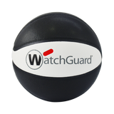 custom basketballs by Everlighten