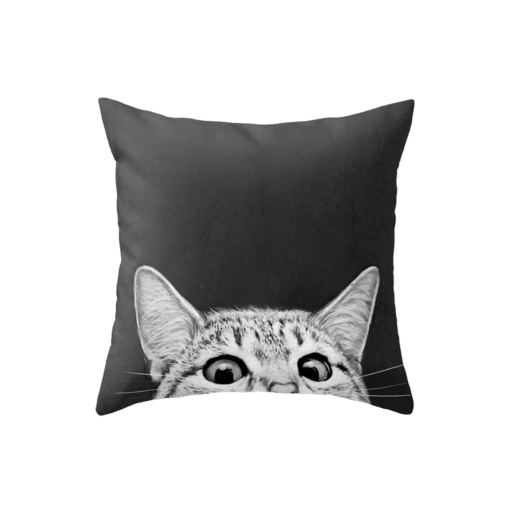 Custom Pillow, , EverLighten