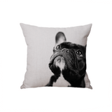 Custom Pillow, , EverLighten